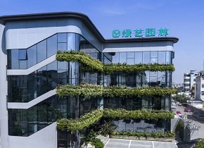 香港六宝典资料